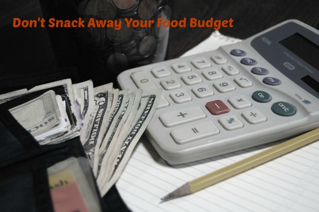 Are You Snacking Away Your Food Budget?