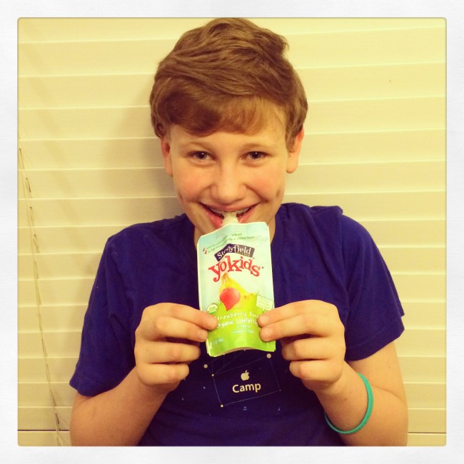 Stonyfield Organic Yogurt Pouches – Organic Fun On the Go!