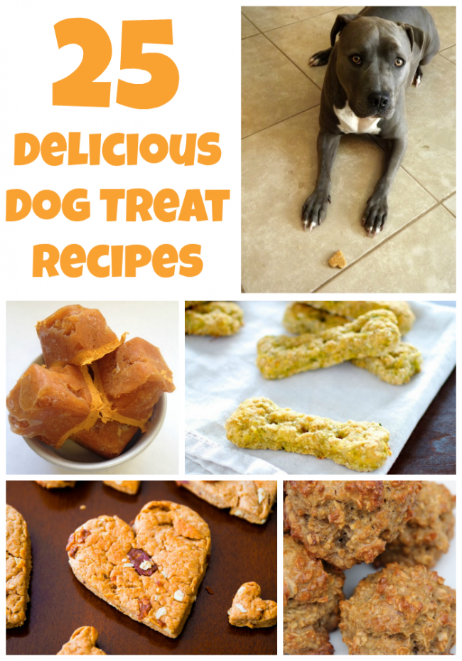25 Delicious Homemade Dog Treat Recipes