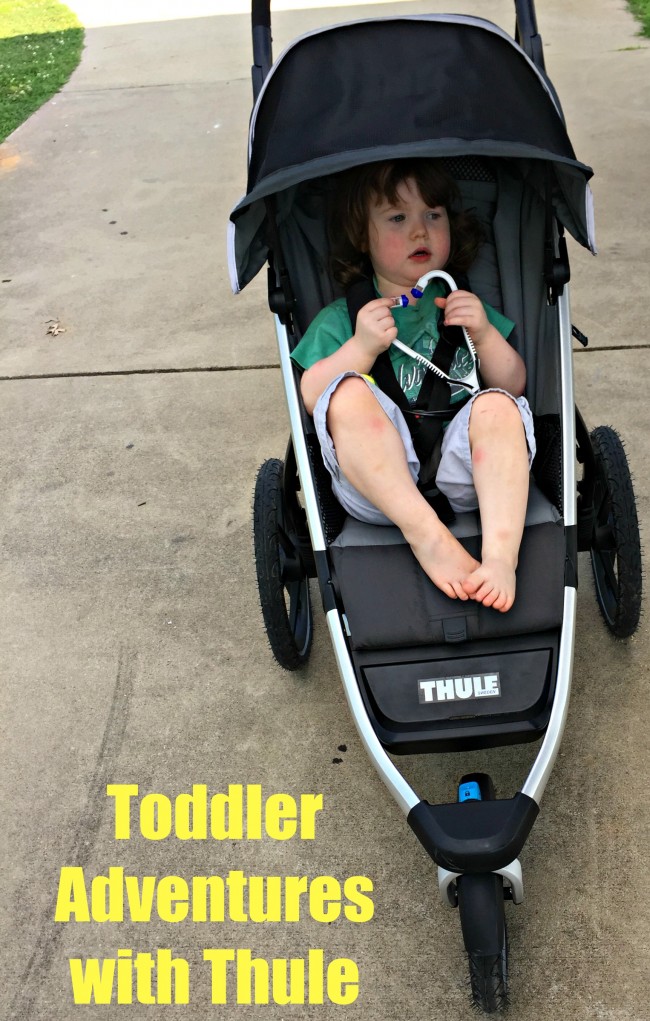 Thule Urban Glide Stroller Review- Smartsize Your Stroller Options