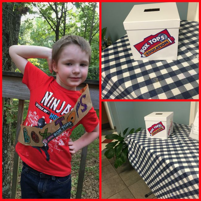Box Tops for Education- Get Involved to Help Schools and Box Top Sash Craft