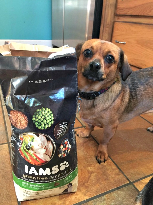 iams-visible-difference-2