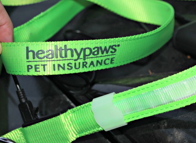 Learn about how Healthy Paws Pet Insurance can keep your pet and your budget safe