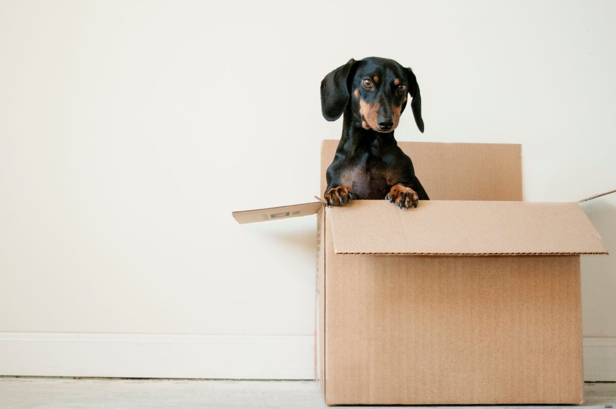 Make Moving Less Stressful with Some Easy Moving Tips